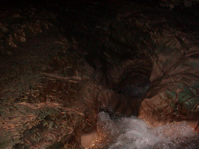 dsc00206.jpg