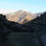 dsc00210.jpg