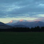 dsc00217.jpg