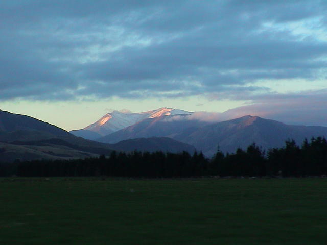 dsc00217.jpg