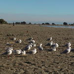 dsc00222.jpg