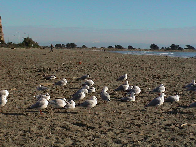 dsc00222.jpg