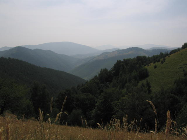 img_0070.jpg