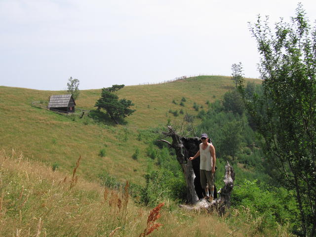img_0071.jpg