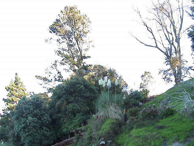 dsc00021.jpg